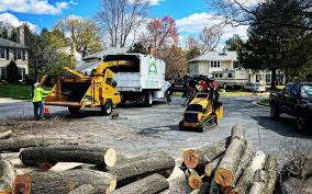 Best Seasonal Cleanup (Spring/Fall)  in Wharton, NJ