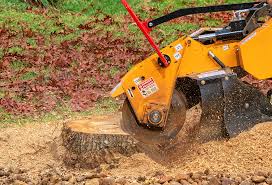 Best Arborist Consultation Services  in Wharton, NJ