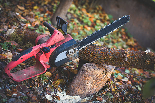 Best Pest Control for Lawns  in Wharton, NJ